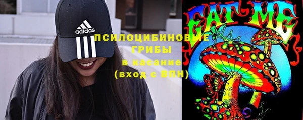ГАЛЛЮЦИНОГЕННЫЕ ГРИБЫ Алексеевка